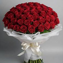 Букет 101 Красная роза Блэк Мэджик в Вознесенье
