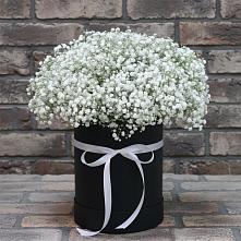 Цветочная композиция из Гипсофила в шляпной коробке в Вознесенье