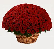 Премиум букет из: Розы в Вознесенье